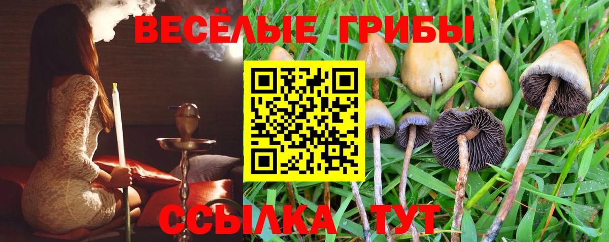 Псилоцибиновые грибы GOLDEN TEACHER  Галлюциногенные грибы MAGIC MUSHROOMS  Тобольск  Вход с VPN 