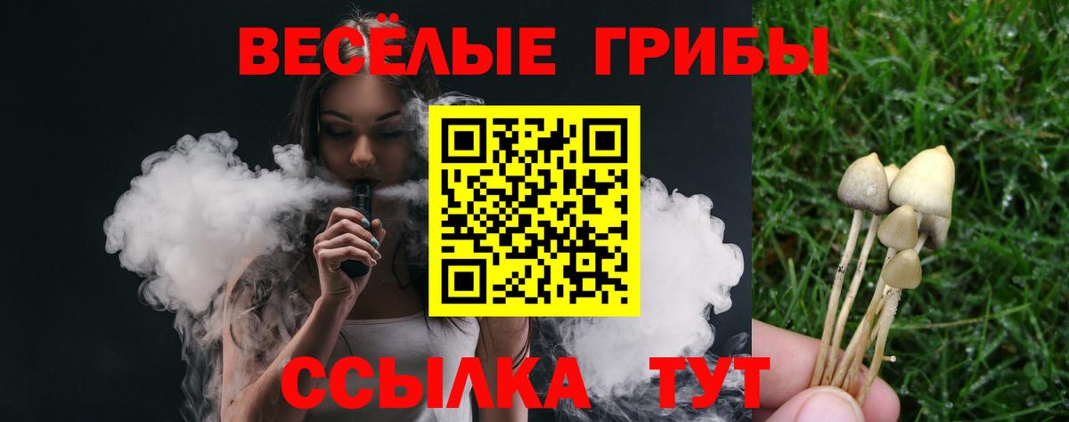 Псилоцибиновые грибы прущие грибы Тобольск